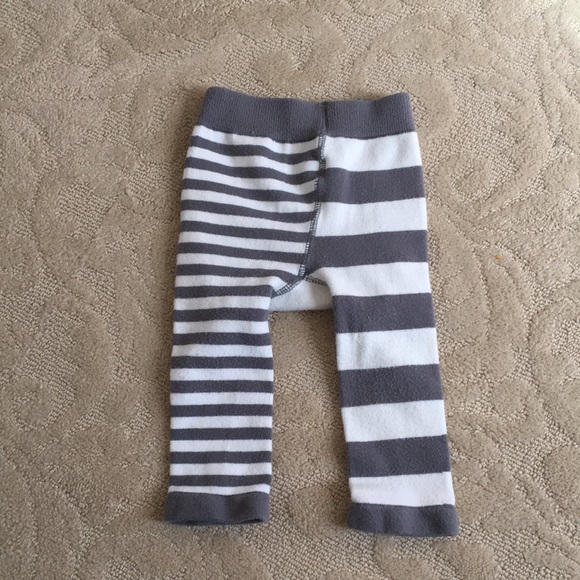 Blade And Rose Cactus Leggings 